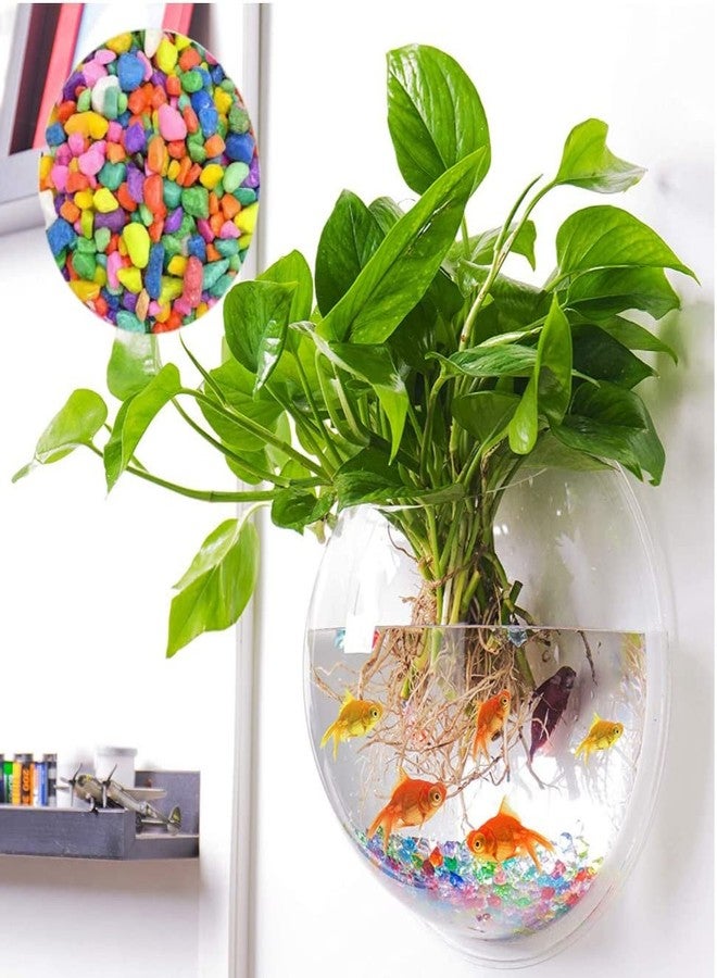 حوض سمك بيتا معلق على الحائط من VAYINATO®، مقاس 12 بوصة - حصى ملونة من Petzlifeworld - Image 1